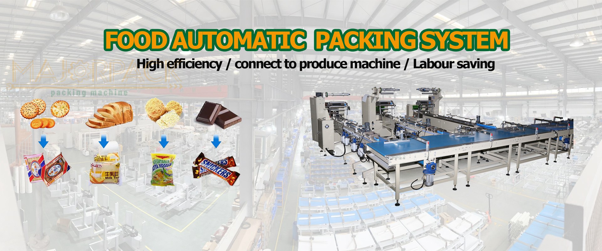 Majorpack-Food automatic feeding and packing system